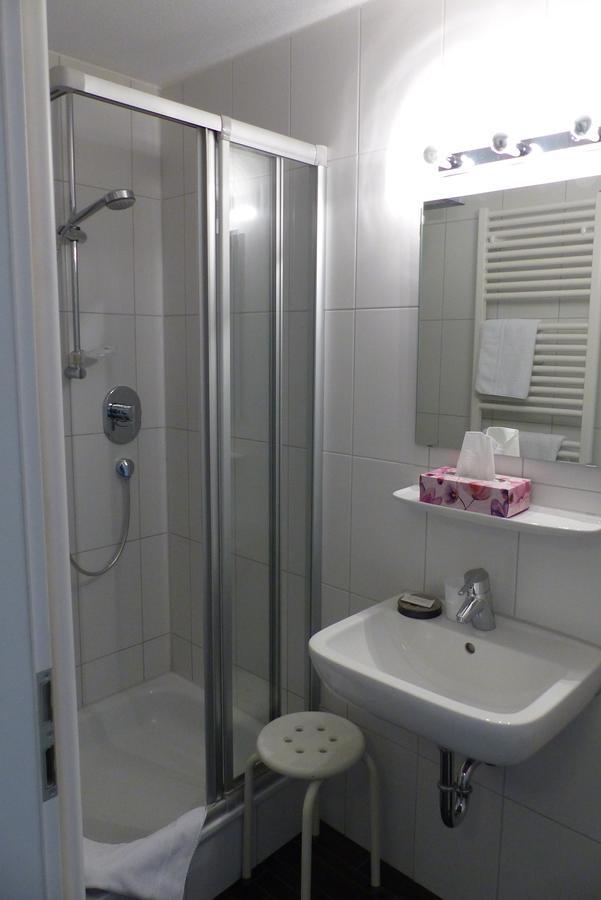 Hotel Ehinger Rose 3*